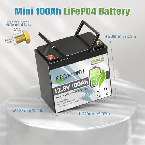 12V 100Ah LiFePO4 Battery, Rechargeabel Deep Cycle Lithium Batteries, 100A BMS with Low-Temp Protection, Perfect for RV, Solar, Boat, Marine