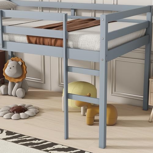Low Loft Bed Twin Size, Kids Solid Wood Modern Loft Bed Frame with Ladder and Safety Guardrail for Girls Boys, Noise-Free,Non-Toxic Finishes