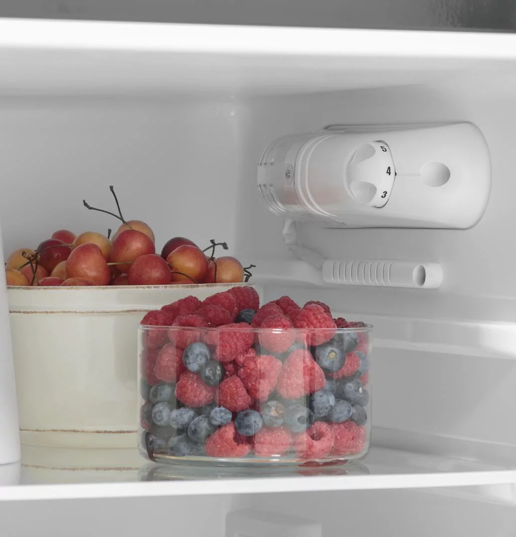 GE APPLIANCES GPV10FGNBB GE(R) 9.8 Cu. Ft. 12 Volt DC Power Top-Freezer Refrigerator