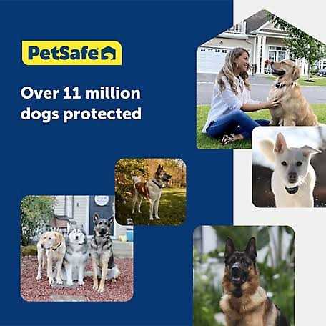 PetSafe Basic In-Ground Fence - Pet Supplies online store