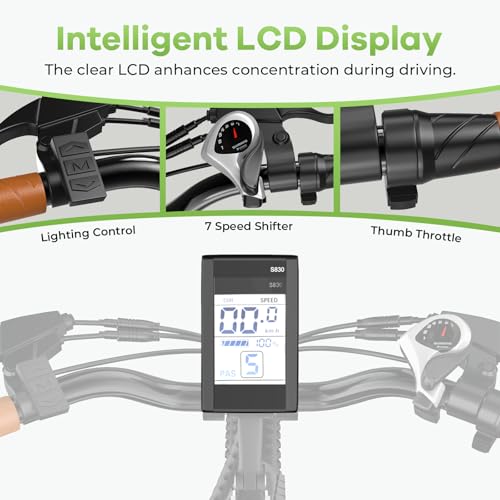 26“ Electric Bike for Adult,1000W Peak, up 80 Miles Removable Battery Ebike,Adult Electric Bicycles for All Terrain,Men Women E Bike, 7-Speed