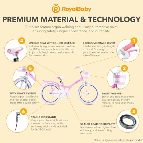 Royalbaby Princess Girls Kids Bike 12 14 16 18 20 Inch Children Bicycle with Basket for Age 3-12 Years