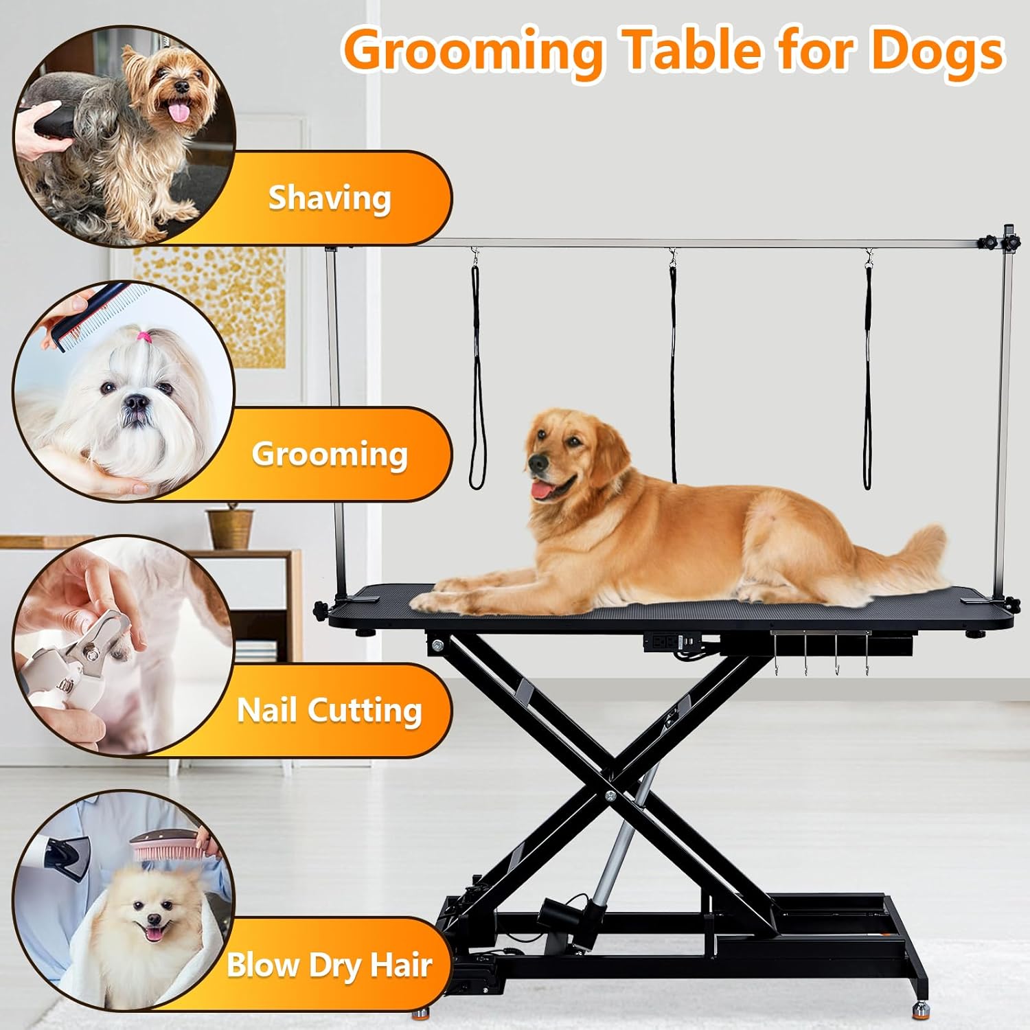 60" Hydraulic Dog Grooming Table for Pet