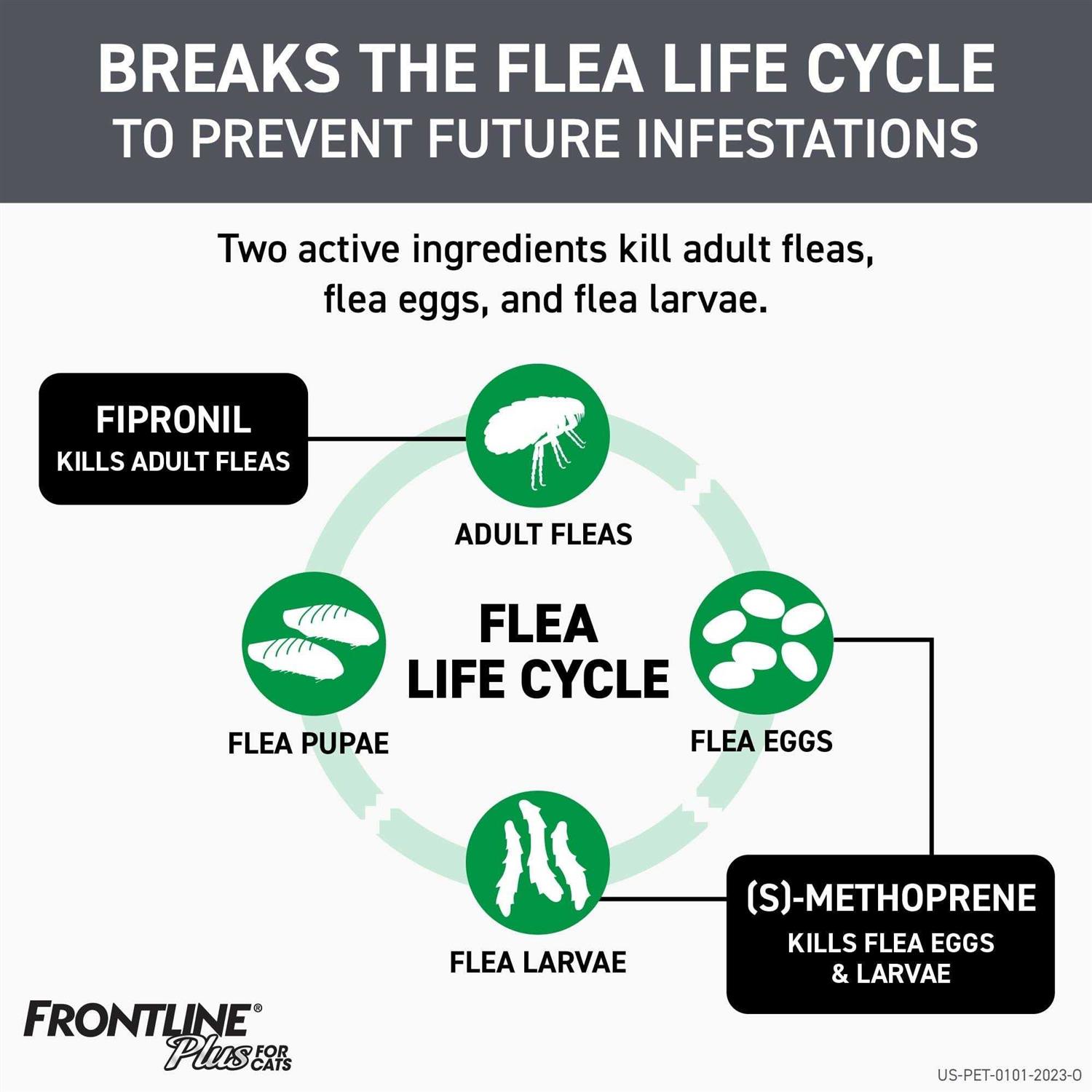 Frontline Plus Flea &amp; Tick for Cats - Pet Supplies online store