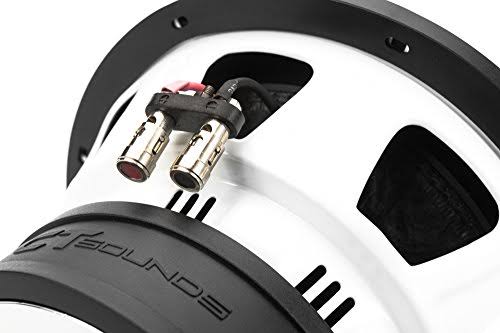 ct Sounds Tropo 10 inch Car Subwoofer 450W RMS Dual 4 Ohm
