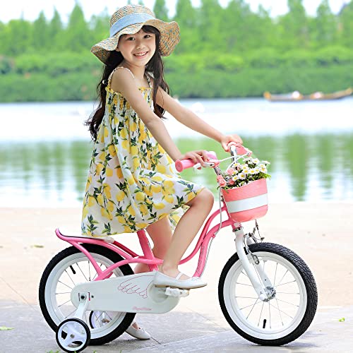 Royalbaby Princess Girls Kids Bike 12 14 16 18 20 Inch Children Bicycle with Basket for Age 3-12 Years