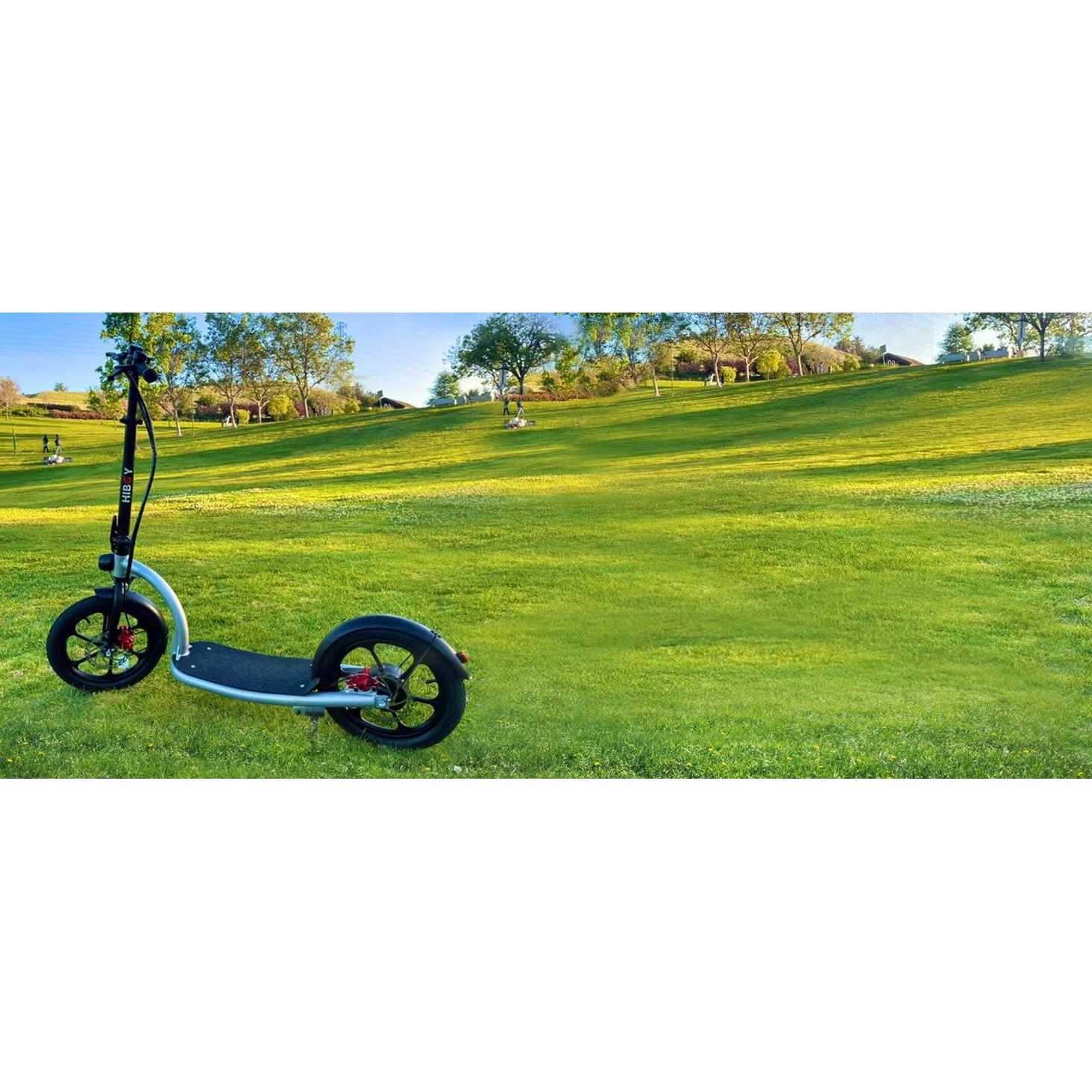 Hiboy Hiboy VE1 Pro Electric Scooter - Sports Supplies Online Store