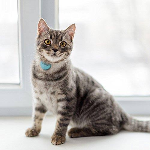TabCat Tracking Collar and Cat Locator