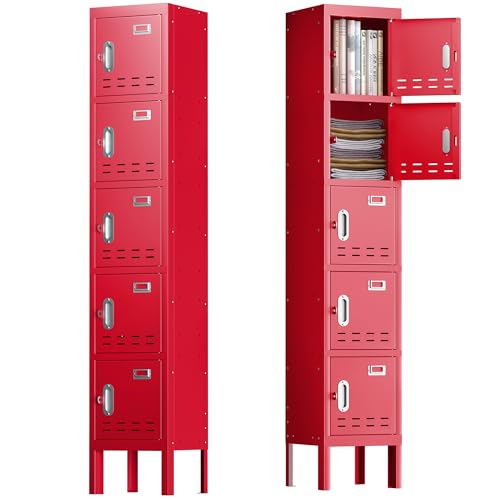 Locker Metal Storage Cabinet, Steel Office Storage Lockable Lockers for Employees Kids School Gym Home Garage Locker with Mirror & Hooks (5 Doors