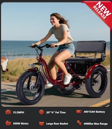 Adult Electric Tricycle Adult Tricycle 3 Wheel Bikes Adults Electric Three Wheel Bike - Radiant Selections
