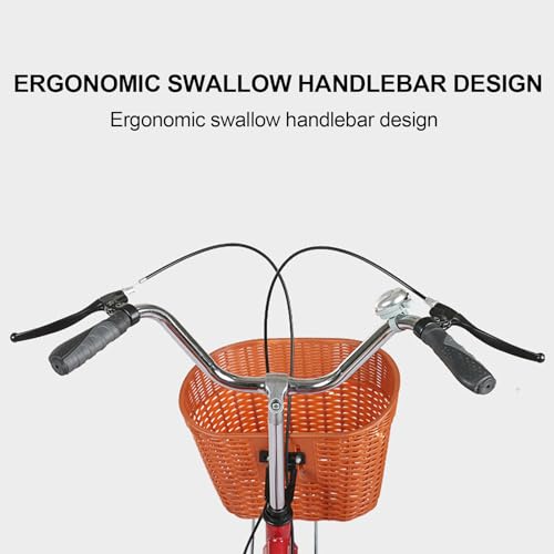 Outroad Adult Tricycle, 16 inch Cruiser Trike, Foldable Bicycle for Elderly 3 Wheel Bikes with Back,Cargo Basket and Comfortable Seat for Seniors