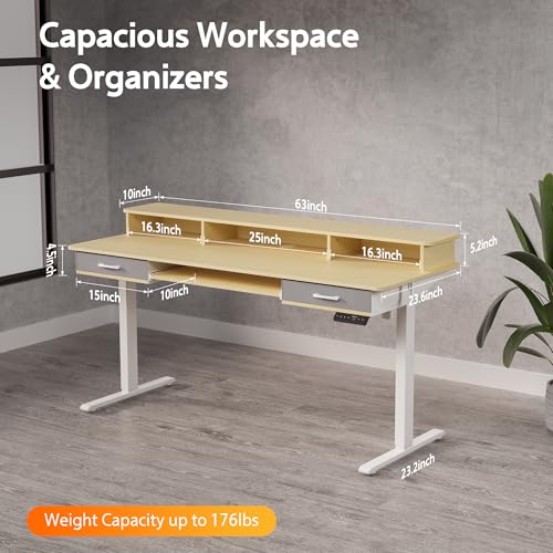 48x24 Inches Electric Standing Desk with 2 Drawers, Height Adjustable Stand up Desk for Home Office, Ergonomic Sit to Stand Table with Storage Shelf