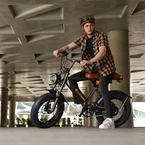 Electric Bike for Adults,Peak 1000W/1500W Motor,20/28MPH 55-150Mile ebikes for Adults with 10.4AH/13AH/26AH Battery