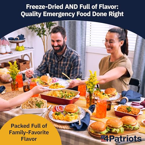 4Patriots 2-Week Survival Food Kit: Emergency Food Supply Designed to Last 25 Years, 84 Servings