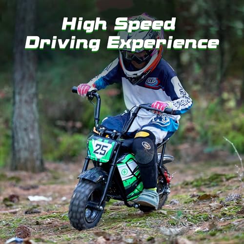 Electric Bike for Kids E Bikes Mini Dirt Bike Motorbike 250W 24V 9Ah Eletric Scooter Fast Dirtbike 2-Speed 10/12Mph 3-10 Old Teens Moped