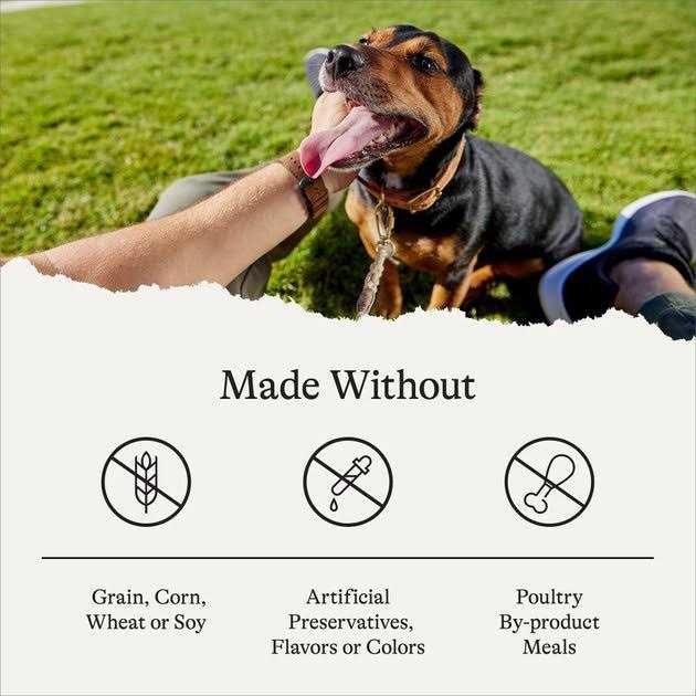 American Journey Limited Ingredient Grain-Free u0026 Sweet Potato Recipe Dry Dog Food - Pet Supplies online store