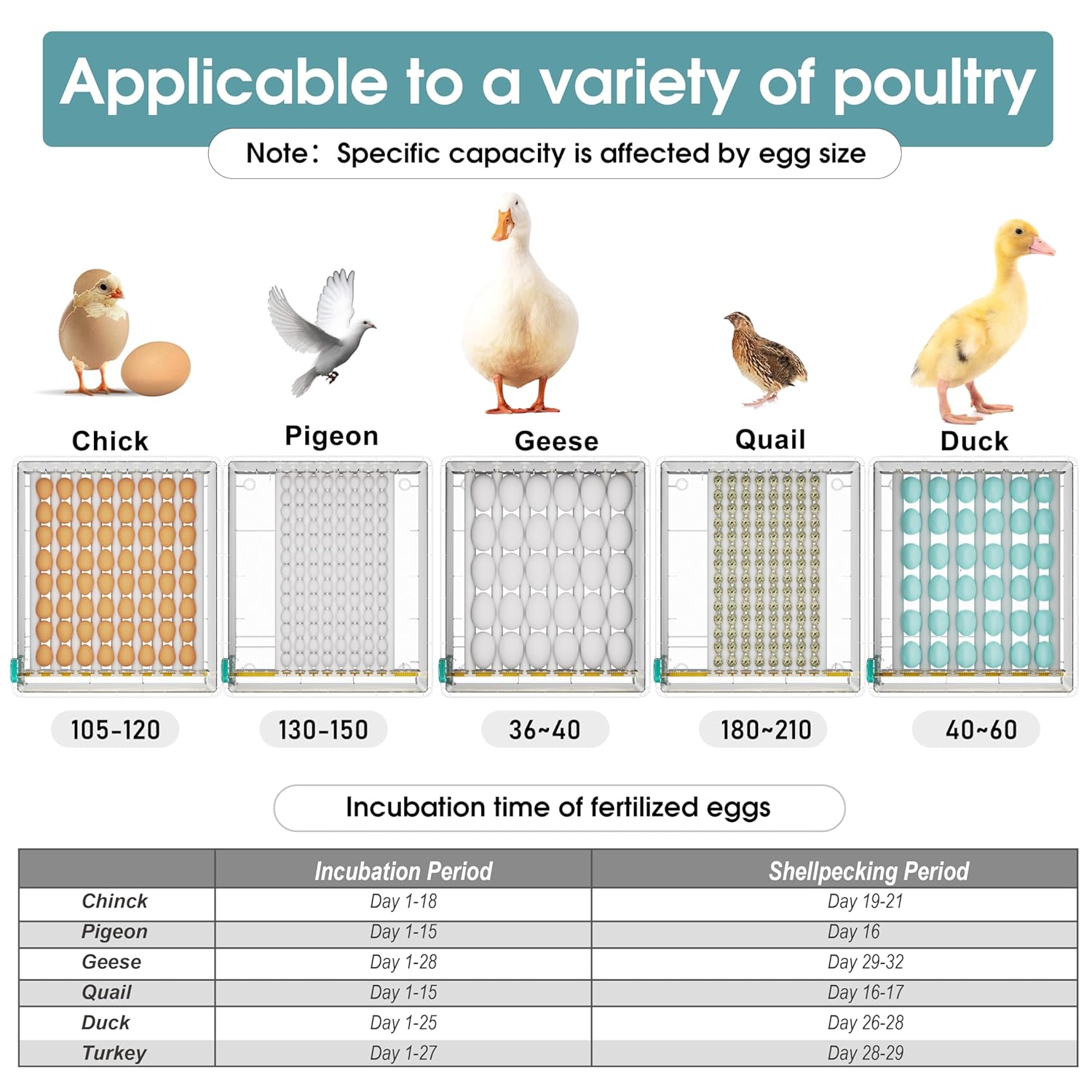 Egg Incubator, Egg Incubator with Automatic Egg Turning and Humidity Monitoring, Incubator for Chicken Eggs, 120 Eggs Incubator with Egg Candler