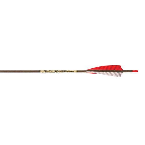 Victory Carbon Trad Sport Arrows 550 4 in. Feathers 6 Pack