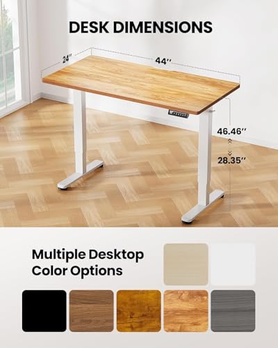 ErGear Height Adjustable Electric Standing Desk, 48 x 24 Inches Sit Stand up Desk, Memory Computer Home Office Desk with Two-Piece Desktop (Walnut)