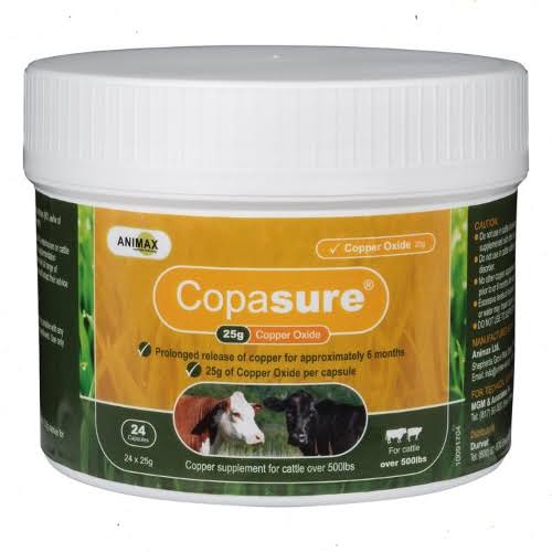 Durvet Copasure Cattle Boluses 25gm x 24 001-85087