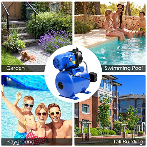 Goplus Shallow Well Pump