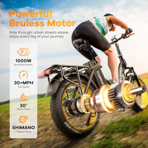 Folding Electric Bike for Adults with Peak 1000W Motor, 48V 20AH Battery up to 30MPH 80 Miles, 20" Fat Tire All Terrain Ebike