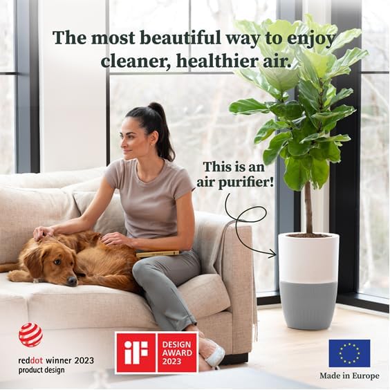 Dupray Bloom™ Air Purifier for Large Rooms with Planter or Custom Accent Table Design | For Home, Bedroom, Office, Dust