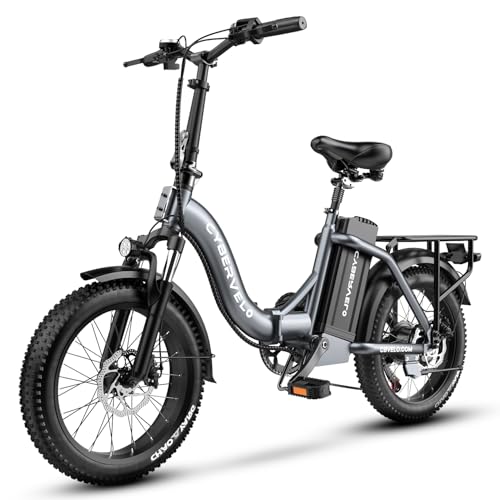 1000W Folding Electric Bike, 48V Large Removable Battery E Bike, 30+MPH, 80 Miles Max Range, 20" Fat Tire Electric Bike for Adults