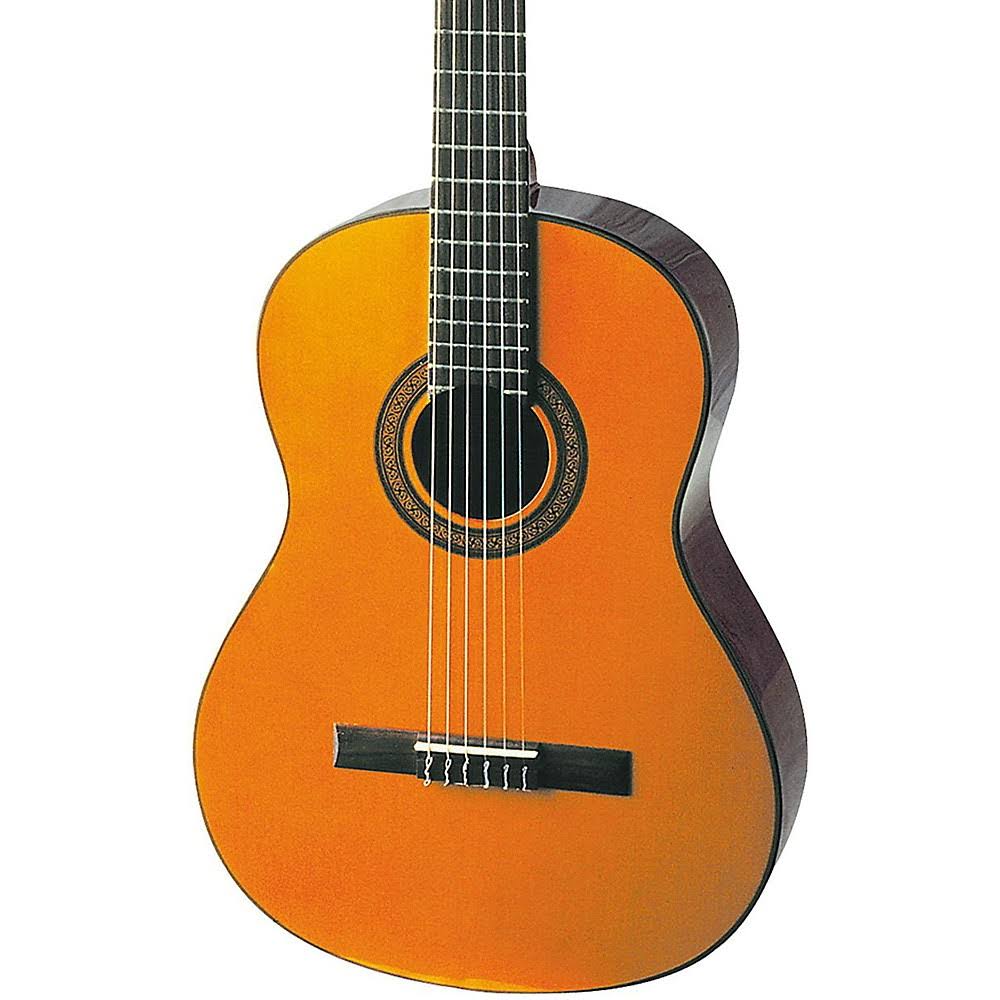 Washburn C40 Classical Acoustic Guitar with Spruce Top, Natural Gloss