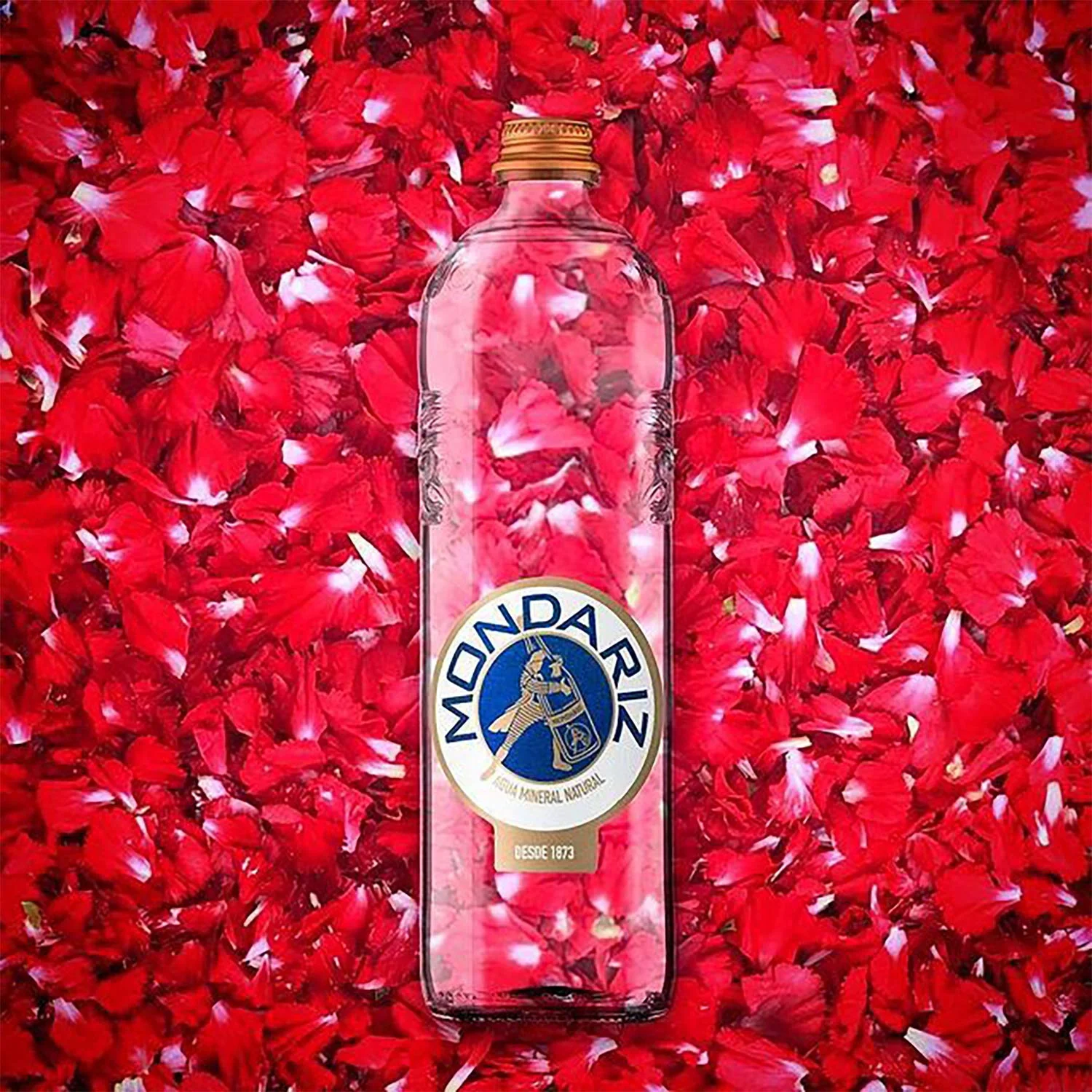 Still Mineral Water  750 Ml (6 Glass Bottles)