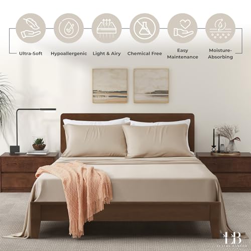 Luxury Bamboo Market | Queen Size Bed Sheet Set | 100% Viscose Made from Bamboo | Organically Grown | Ultra Soft | Cooling Sheets for Hot Sleepers |