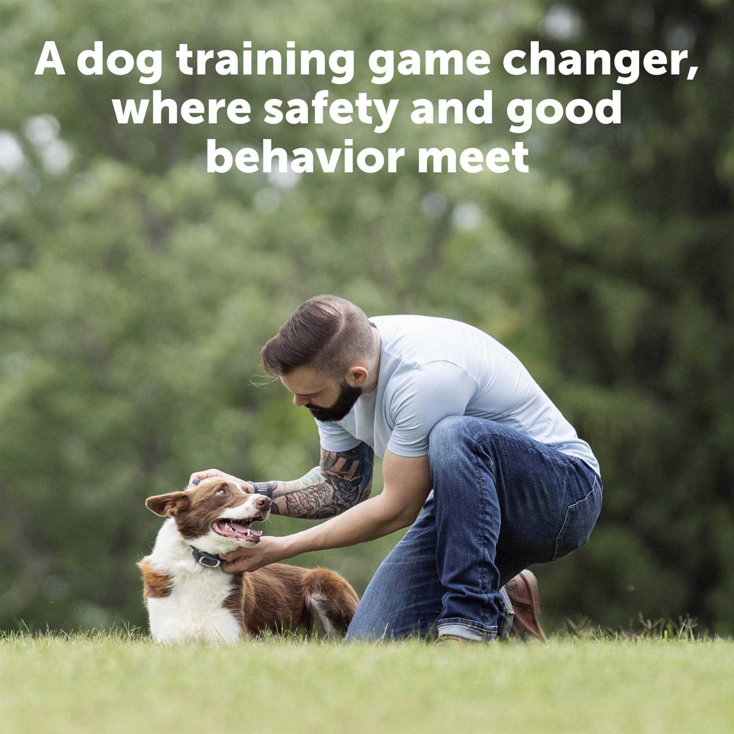 PetSafe 100 Yard Dog Remote Trainer - Pet Supplies online store