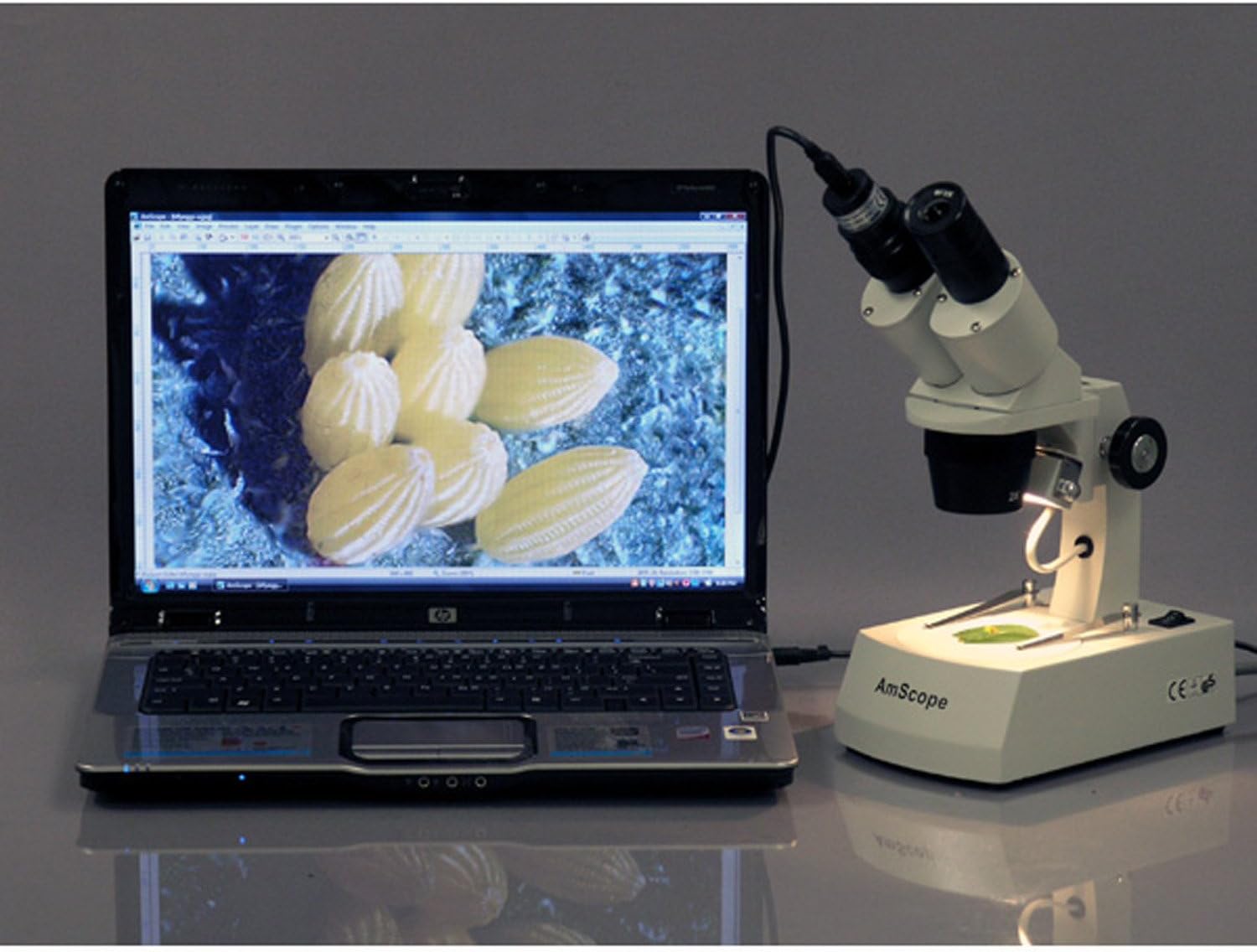 AmScope - MD35A MD35 New Microscope Imager Digital USB Camera, Compatible with Windows XP/Vista/7/8/10