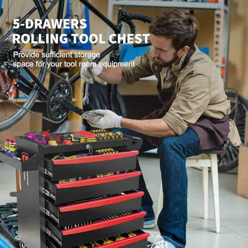 Rolling Tool Chest, Metal Tool Box with 5 Drawers