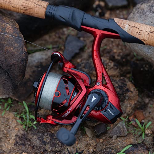 KastKing Royale Legend Glory Fishing Reel - 6.2:1 Gear Ratio Spinning Reel, Up to 22 Lbs of Carbon Drag, 7+1 Stainless Steel Ball Bearings