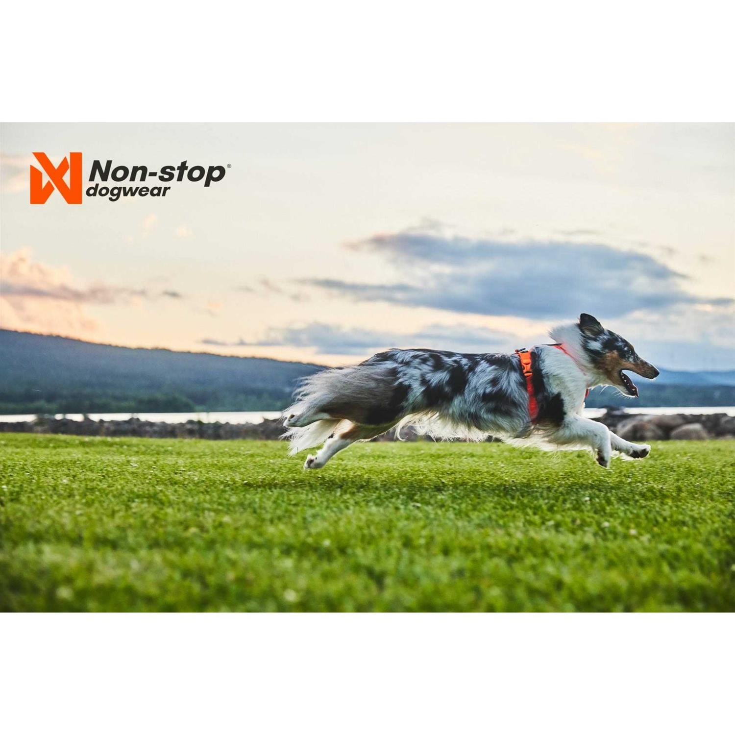 Non-Stop Dogwear Line Harness / Size