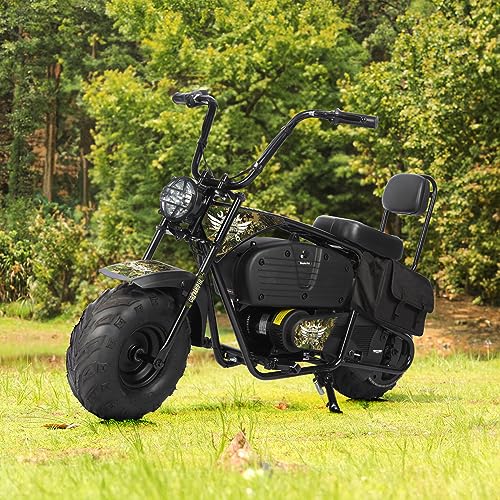 Oryxearth Electric Mini Dirt Bike, 36V Battery 1000W Motor Electrical Powered Motorcycle for Kids, 2 Speeds-15.5MPH/22 MPH, 2 Hanging Bags