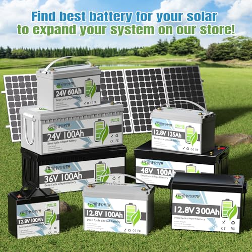 12V 100Ah LiFePO4 Battery, Rechargeabel Deep Cycle Lithium Batteries, 100A BMS with Low-Temp Protection, Perfect for RV, Solar, Boat, Marine