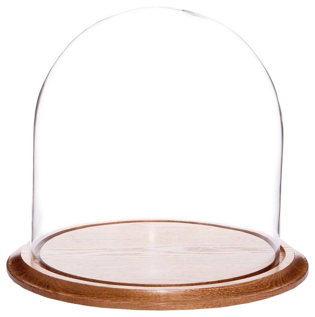 Plymor Brand 11.75x22 x 12x22 Glass Display Dome Cloche (Oak Wood Base)