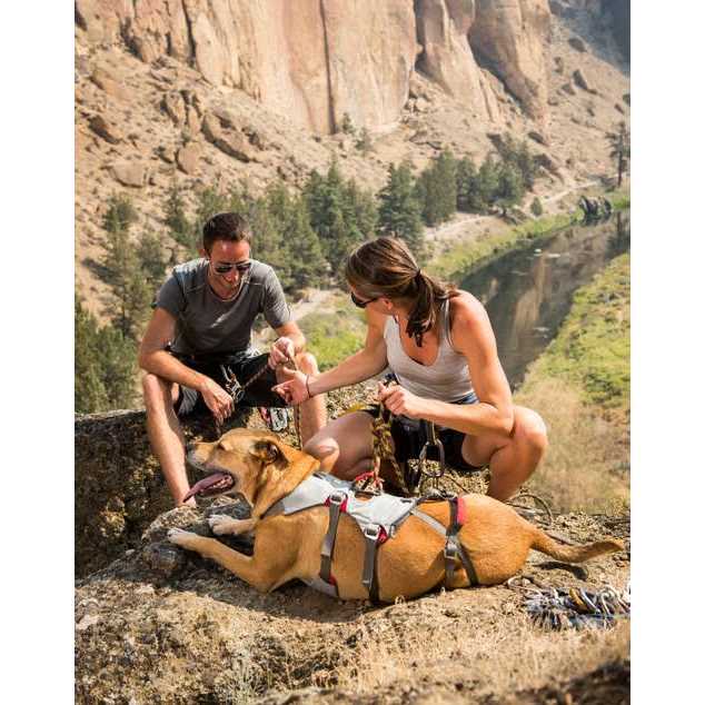 Ruffwear Doubleback Harness - Pet Supplies online store
