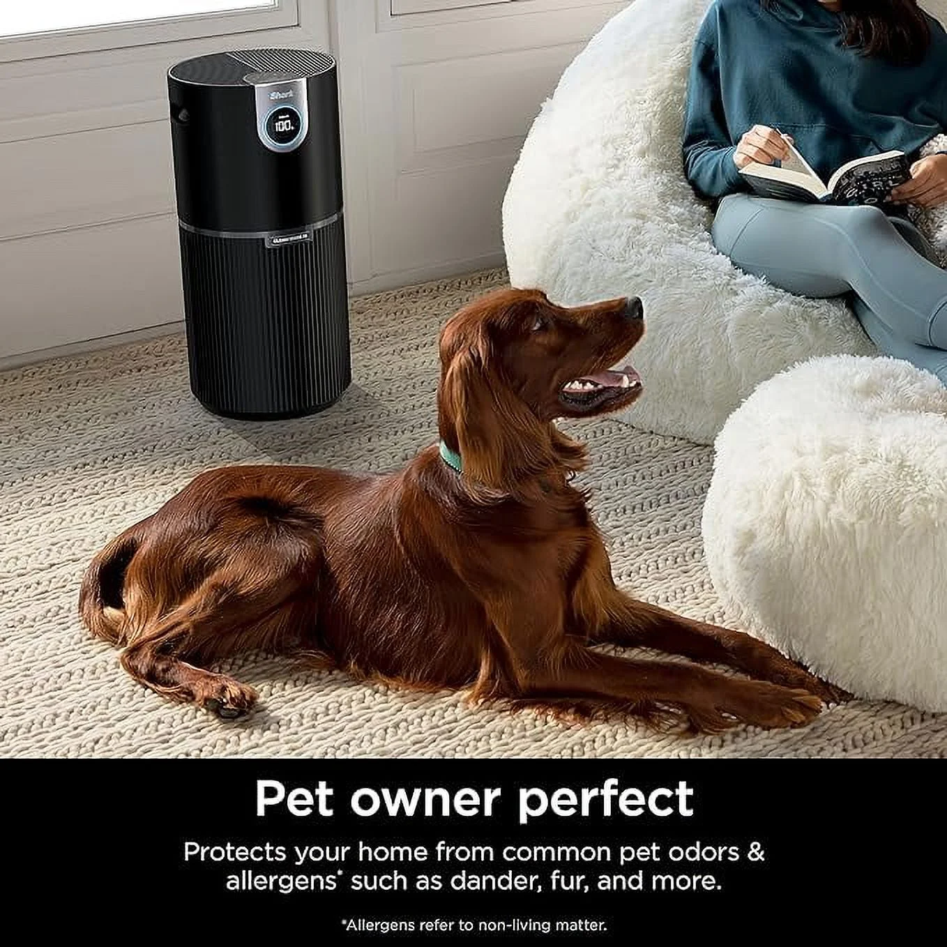 Restored Open Box Shark Clean Sense Air Purifiers Home Office Bedroom HEPA Filter HP202 - BLACK (Refurbished)