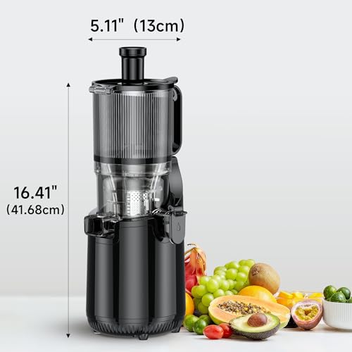 Cold Press Juicer