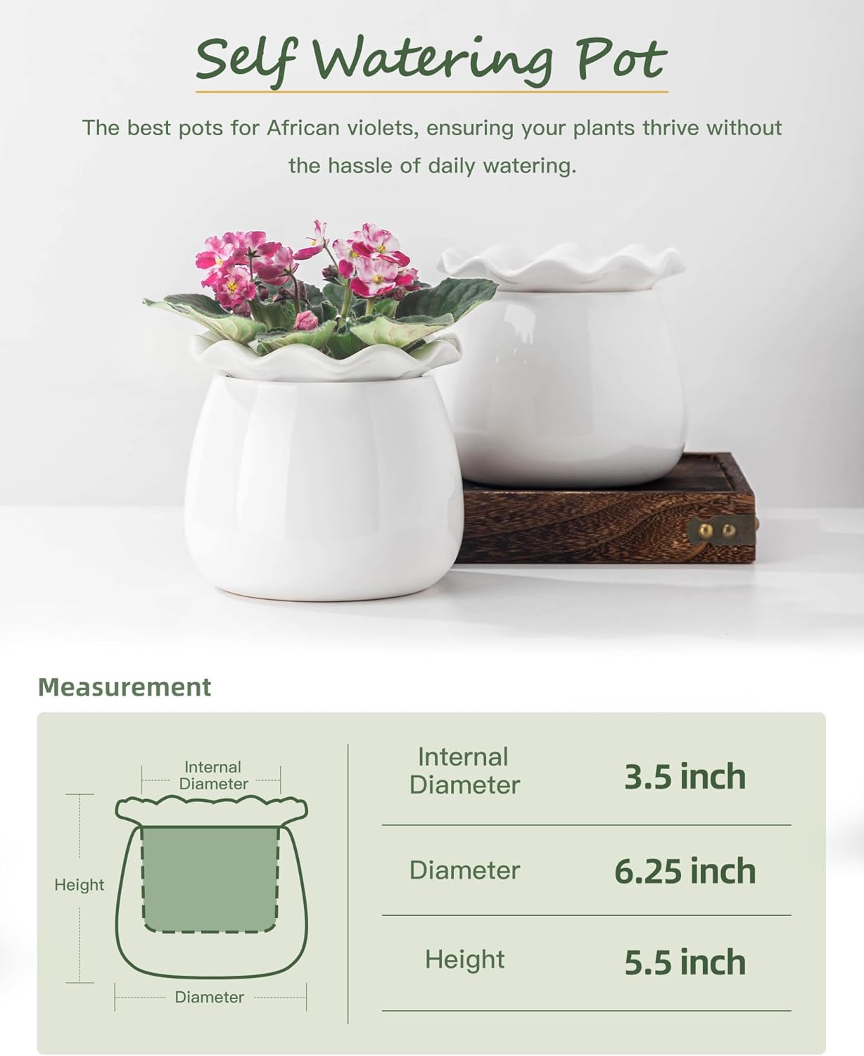 Self Watering Plant Pot, 6 Inch African Violet Pots Maintenance, Ceramic Self-Watering Planter for Indoor Plants