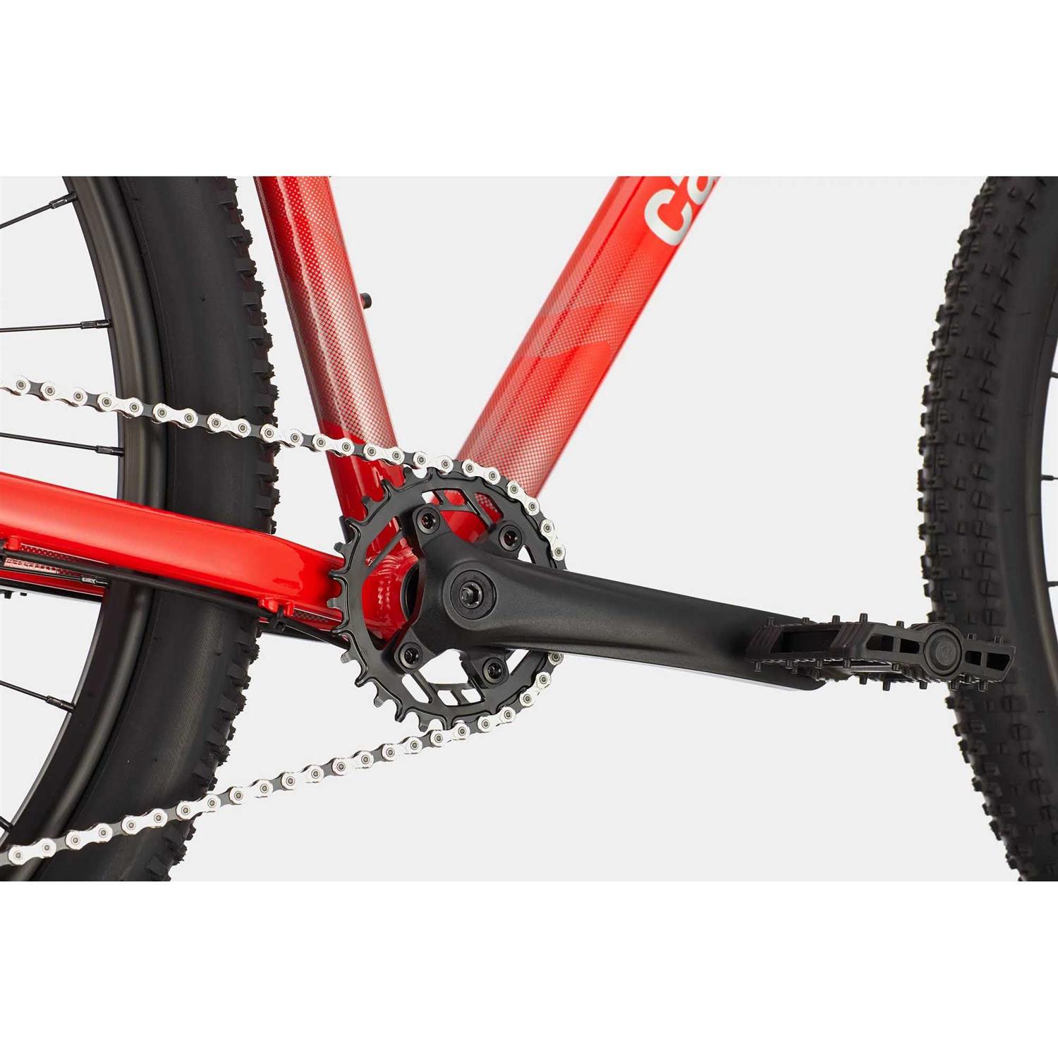 Cannondale Trail 5 (2021) - Sports Supplies Online Store