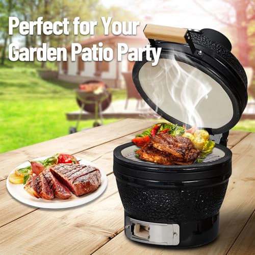13-Inch Portable Ceramic Charcoal Grill with Grill Stand, Egg Shaped Ceramic Charcoal Grill w 10.6" Stainless Steel Cooking Grate