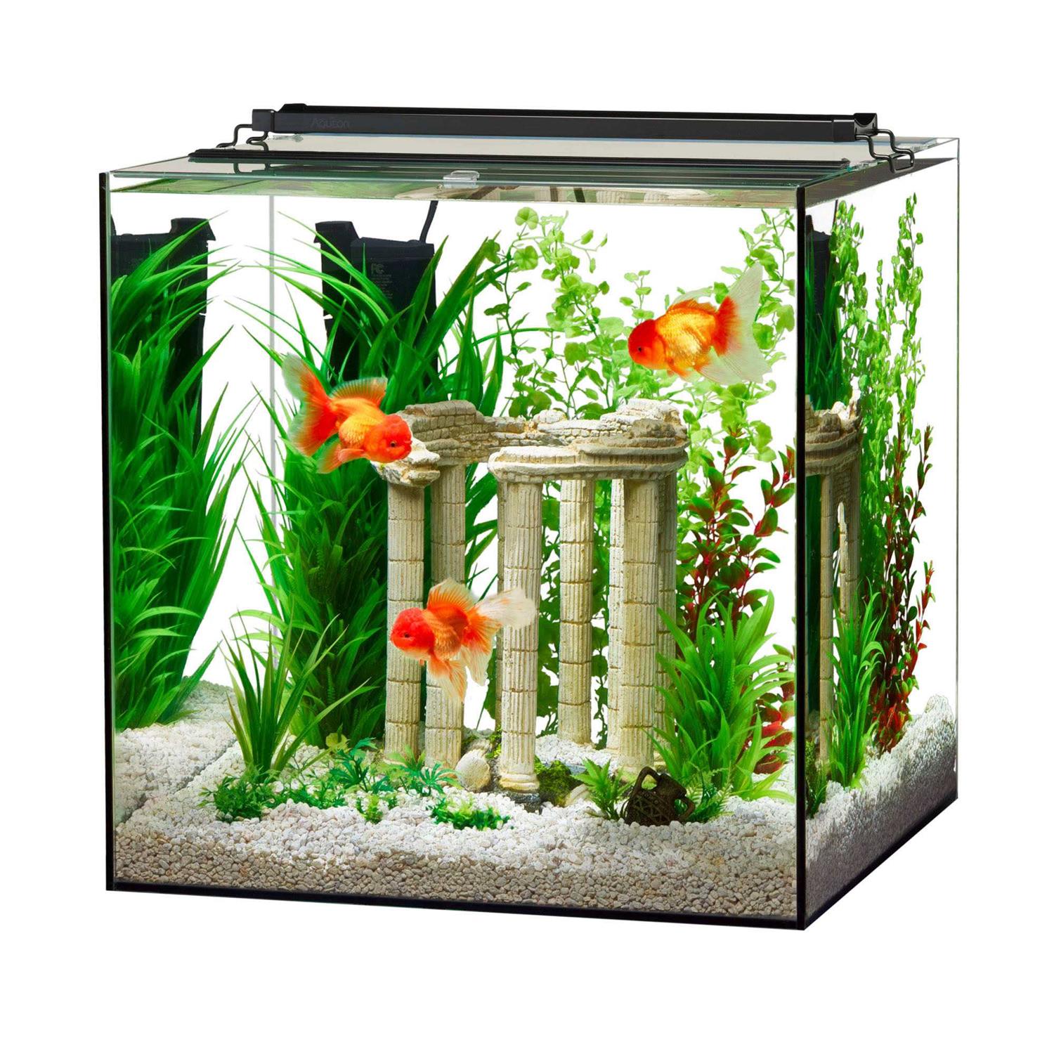 Aqueon Frameless Cube Aquarium - Pet Supplies online store