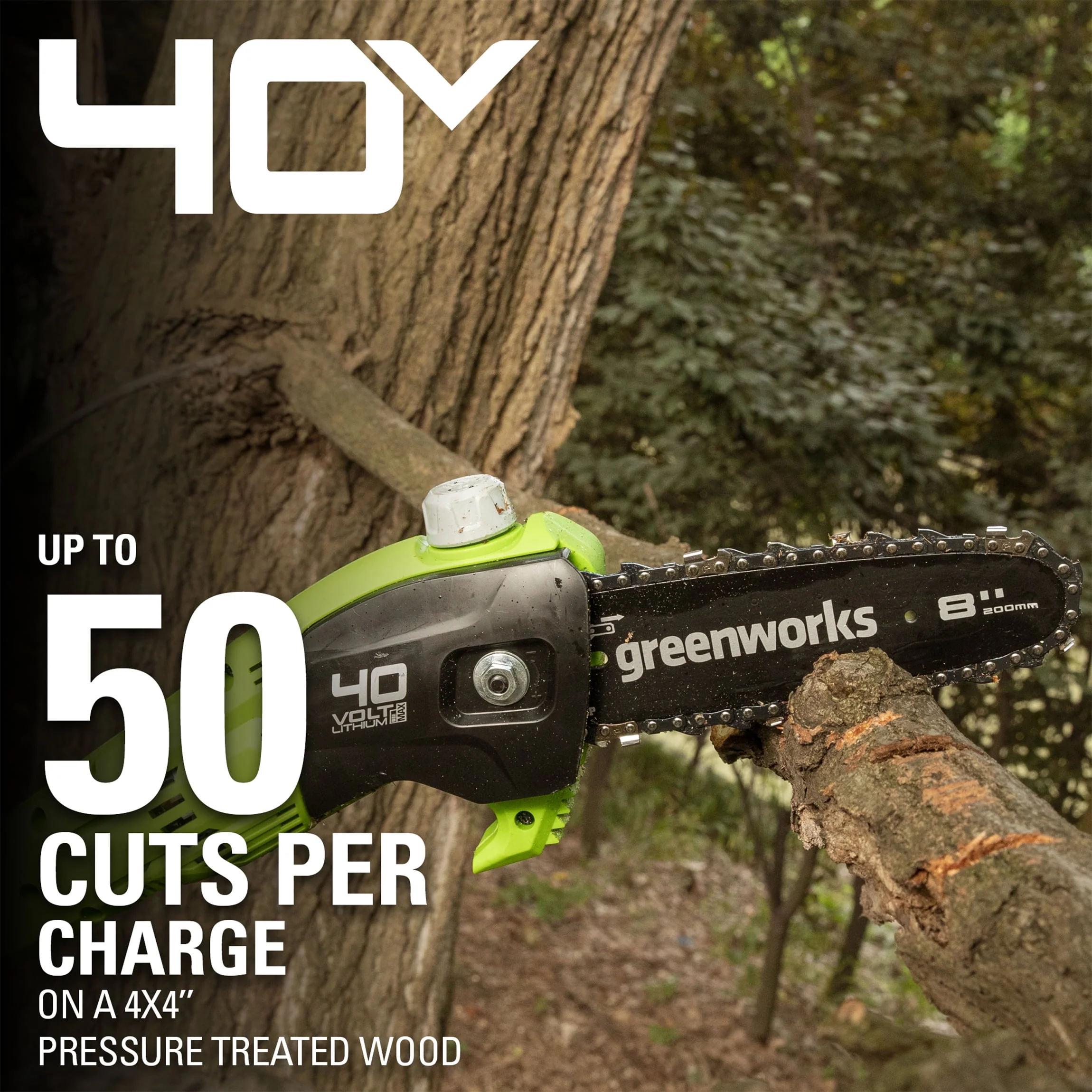 Greenworks 40V 8 Cordless Pole Saw with 2.0 Ah Battery and Charger Gen II 1403702