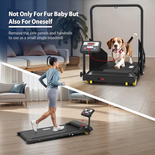 CIIHI Dog Treadmill for Medium Small Dogs - 265lbs Weight Capacity Pet Running Machine with 360° Rotatable Display