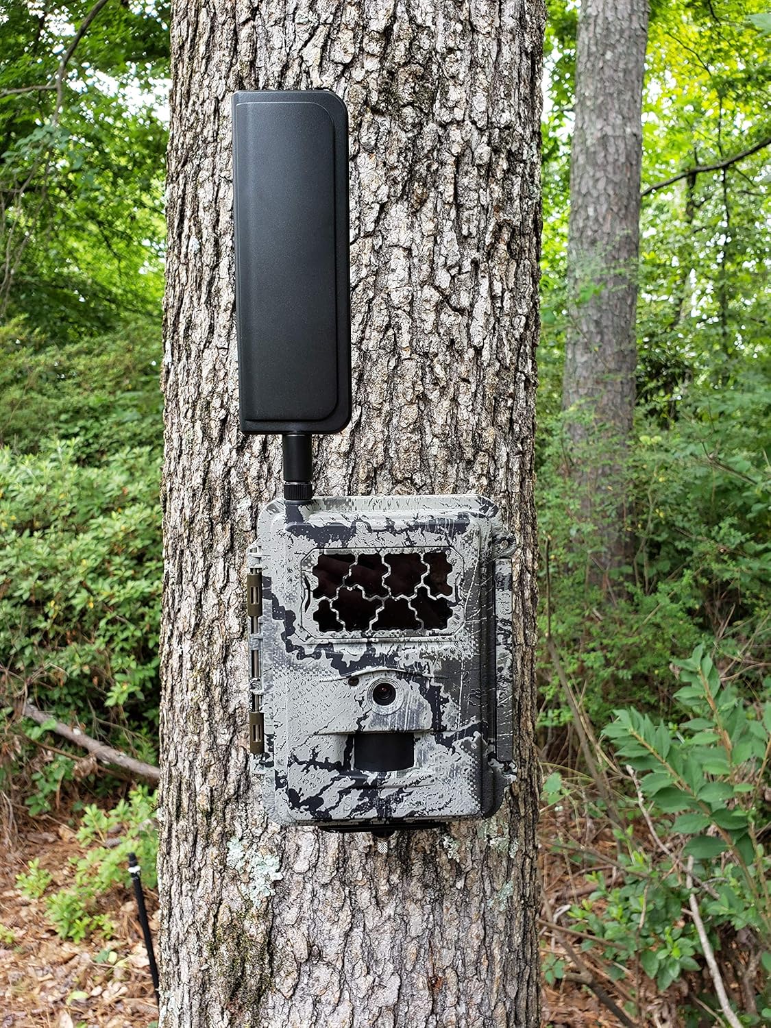 Spartan GoCam Verizon 4G LTE Wireless Trail Camera with Batteries, SD Card, Card Reader, and Mount (Verizon)
