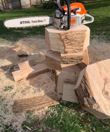 STIHL MS 170 Brand New Chainsaw (14")